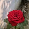 md.fahim.ashraf94