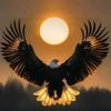 hamad.gull46