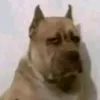 spooderpoo11