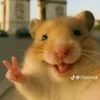 griaciayameza