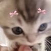 nom