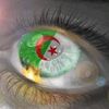 yassine.meguellat