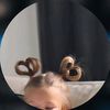 menimsen_21_21