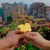 md.robiul.islam7047