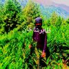 bakhtmerrkhan