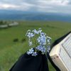 zahra_w23
