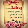 mohamedrayen847