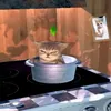 coolshrimps7