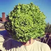 Retour à la Terre