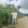thiyle1