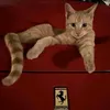 humphrey0678