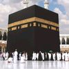 shabbir.ahmad8773
