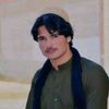 warid804