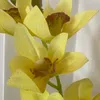 nguyen.thu067