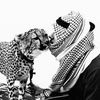 الدميحي