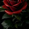 user3760312411963