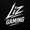 りずくんぬ｜Liz Gaming