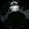 mdalif6185