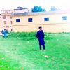 lewany112803