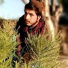 samiullah.sadiqe