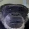 leitemorno7