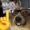 brigidadanielasan