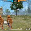 rafarafa.nobb