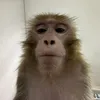padar_chulo