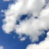 uukkapuukka
