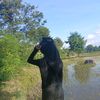 anggun.sulis.tiani