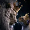 shima.rajaa