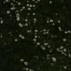 mei76922