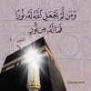 jana.hasan50