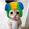 zaid.2415