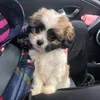 little.dude24
