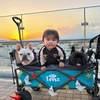 french_bulldog0511