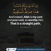 abubakarsulaiman3643