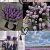 abeer_484