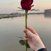 b__hhk12