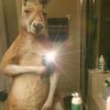 david_7269w