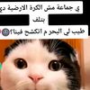 محمد ابراهيم