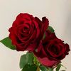 user1699455104067