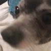 kat_toast1114
