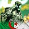 le.dz657
