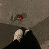 tota_m.249