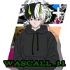 wascallmc_11