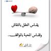 user8172046371251