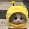 tsukkitsukkhina