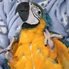 mango_mint_soda