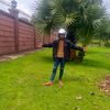 user6020831619833